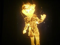goldman goldman